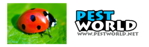 Pests World